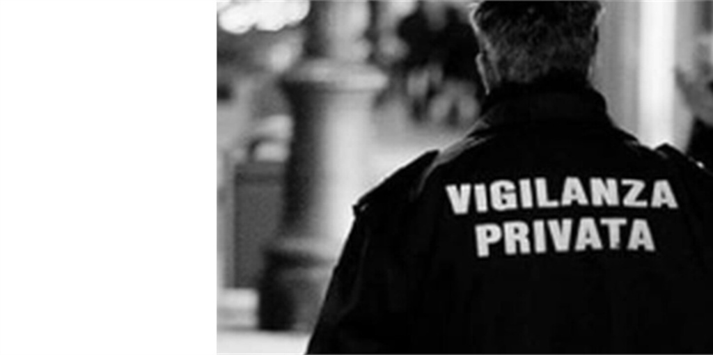 Vigilanza privata – Disponibilità del Governo a interventi di...