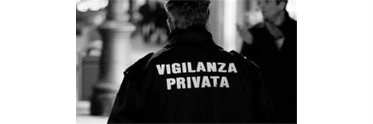 Vigilanza privata – Disponibilità del Governo a interventi di...